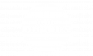 little moons white logo 2
