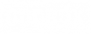 oddbox logo