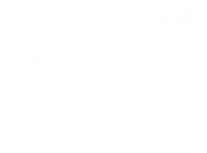 dalstons logo