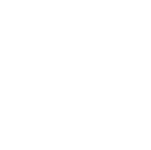 marleybones logo white